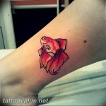 photo goldfish tattoo 04.01.2019 №453 - goldfish tattoo idea - tattoovalue.net