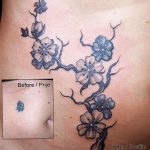 photo tattoo cherry 28.01.2019 №361 - an example of drawing a cherry tattoo - tattoovalue.net