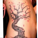 photo tattoo cherry 28.01.2019 №024 - an example of drawing a cherry tattoo - tattoovalue.net
