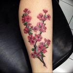 photo tattoo cherry 28.01.2019 №156 - an example of drawing a cherry tattoo - tattoovalue.net