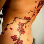photo tattoo cherry 28.01.2019 №218 - an example of drawing a cherry tattoo - tattoovalue.net