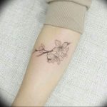 photo tattoo cherry 28.01.2019 №266 - an example of drawing a cherry tattoo - tattoovalue.net