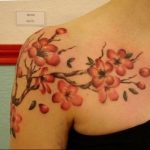 photo tattoo cherry 28.01.2019 №291 - an example of drawing a cherry tattoo - tattoovalue.net