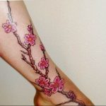 photo tattoo cherry 28.01.2019 №298 - an example of drawing a cherry tattoo - tattoovalue.net