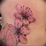 photo tattoo cherry 28.01.2019 №300 - an example of drawing a cherry tattoo - tattoovalue.net