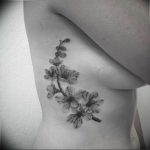 photo tattoo cherry 28.01.2019 №308 - an example of drawing a cherry tattoo - tattoovalue.net