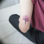 photo tattoo cherry 28.01.2019 №352 - an example of drawing a cherry tattoo - tattoovalue.net