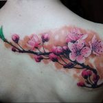 photo tattoo cherry 28.01.2019 №353 - an example of drawing a cherry tattoo - tattoovalue.net