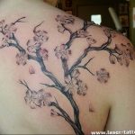 photo tattoo cherry 28.01.2019 №365 - an example of drawing a cherry tattoo - tattoovalue.net