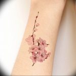 photo tattoo cherry 28.01.2019 №382 - an example of drawing a cherry tattoo - tattoovalue.net
