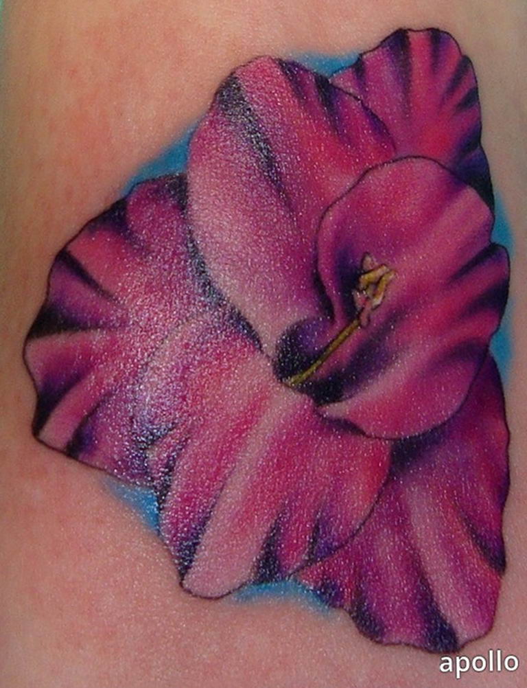 the tattoo Gladiolus. photo tattoo gladiolus 25.01.2019 № 017 - drawing a t...