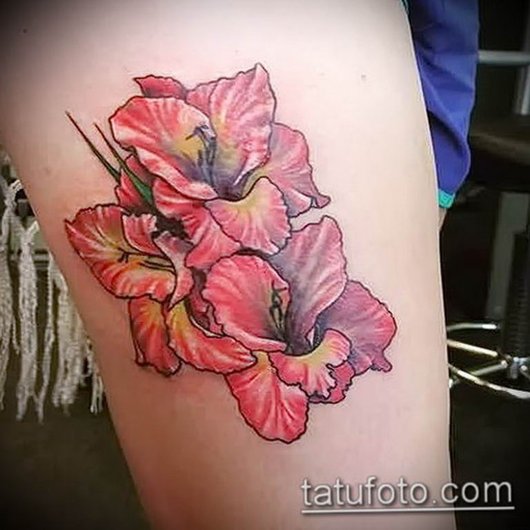 photo tattoo gladiolus  №052 - drawing a tattoo flower gladiolus   
