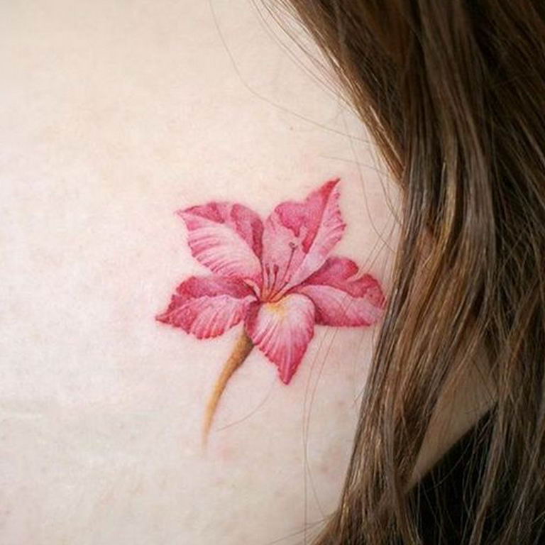 photo tattoo gladiolus 25.01.2019 №002 - drawing a tattoo flower gladiolus - tattoovalue.net