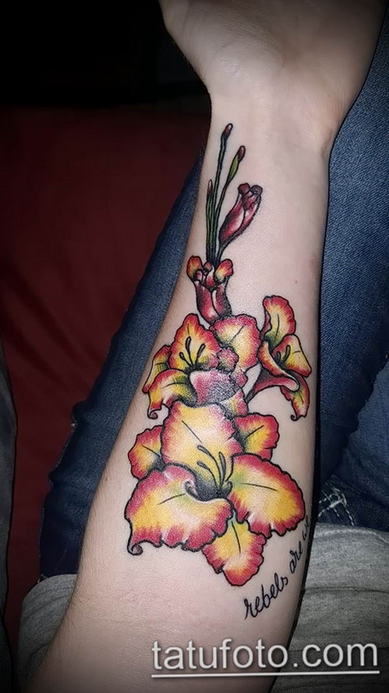 photo tattoo gladiolus 25.01.2019 №054 - drawing a tattoo flower gladiolus - tattoovalue.net