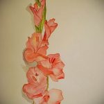photo tattoo gladiolus 25.01.2019 №055 - drawing a tattoo flower gladiolus - tattoovalue.net