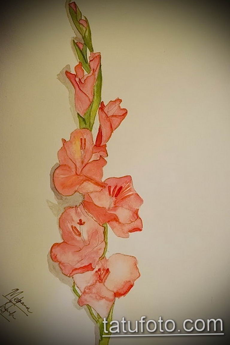 photo tattoo gladiolus 25.01.2019 №055 - drawing a tattoo flower gladiolus - tattoovalue.net