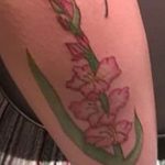 photo tattoo gladiolus 25.01.2019 №057 - drawing a tattoo flower gladiolus - tattoovalue.net