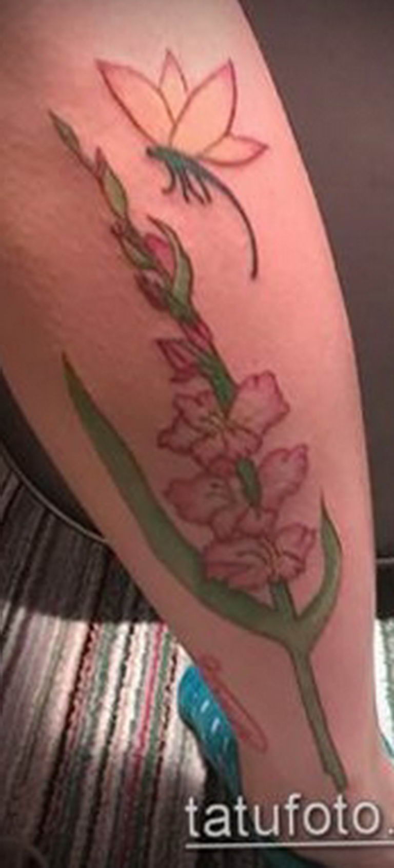 photo tattoo gladiolus 25.01.2019 №057 - drawing a tattoo flower gladiolus - tattoovalue.net