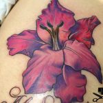 photo tattoo gladiolus 25.01.2019 №087 - drawing a tattoo flower gladiolus - tattoovalue.net