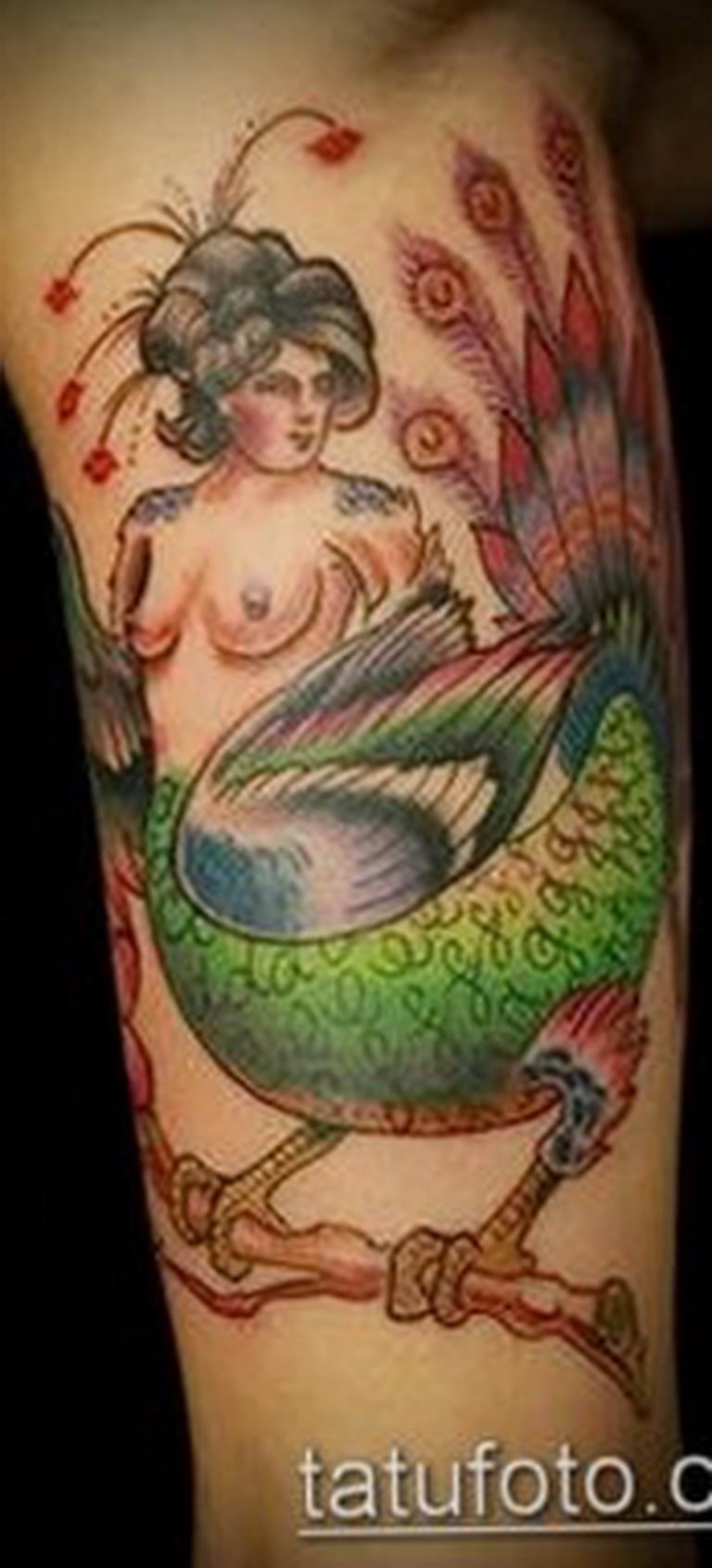 photo tattoo harpy 25.01.2019 №006 - example of drawing harpy tattoo - tattoovalue.net
