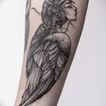 photo tattoo harpy 25.01.2019 №021 - example of drawing harpy tattoo - tattoovalue.net
