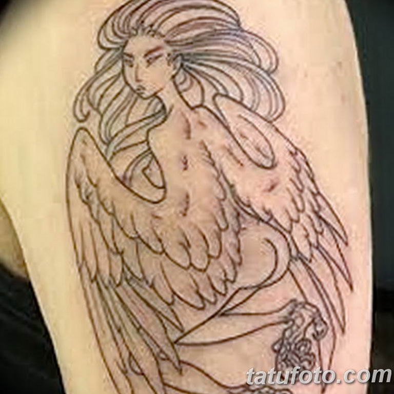 photo tattoo harpy 25.01.2019 №022 - example of drawing harpy tattoo - tattoovalue.net