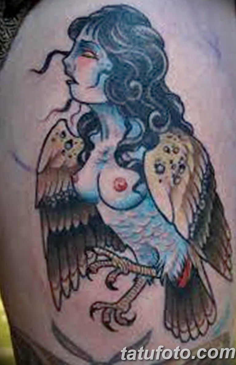 photo tattoo harpy 25.01.2019 №050 - example of drawing harpy tattoo - tattoovalue.net