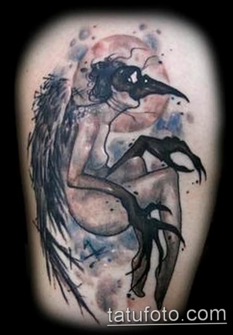 photo tattoo harpy 25.01.2019 №063 - example of drawing harpy tattoo - tattoovalue.net