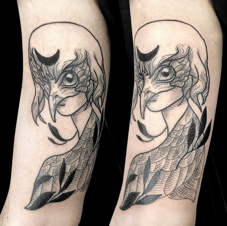 photo tattoo harpy 25.01.2019 №092 - example of drawing harpy tattoo - tattoovalue.net