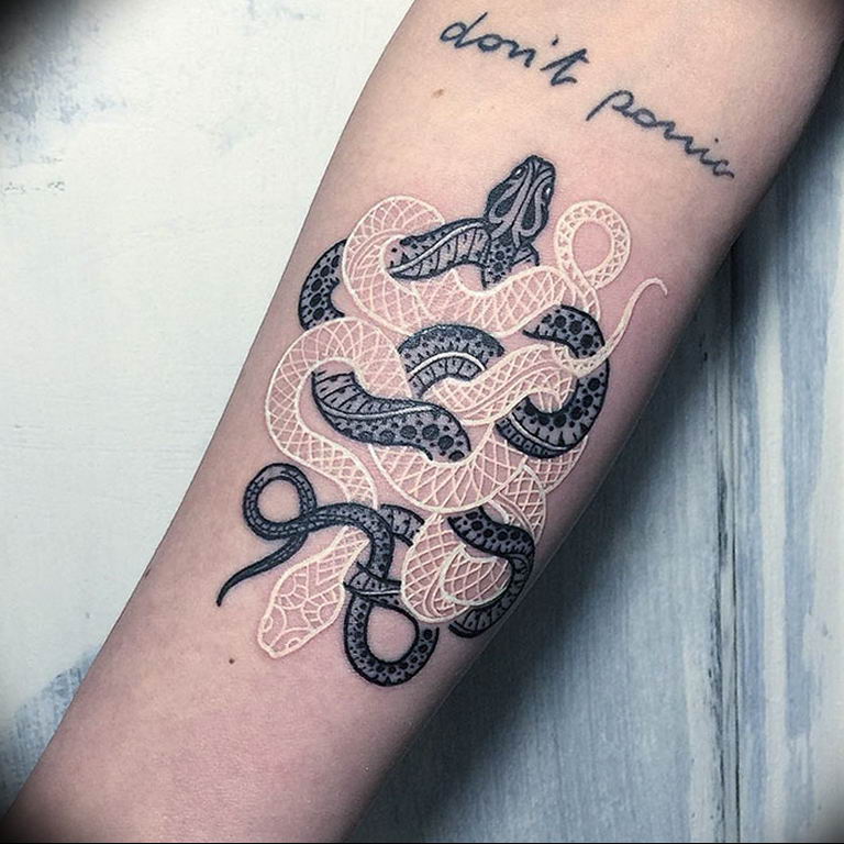 Ornamental snake tattoo on the inner arm healed