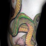 snake tattoo photo 28.01.2019 №059 - snake tattoo idea - tattoovalue.net