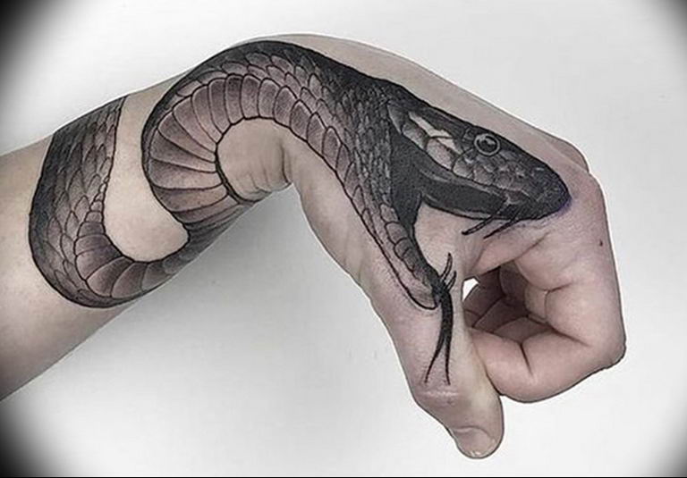 snake tattoo photo 28.01.2019 № 073 - snake tattoo idea - tattoovalue.net. 