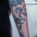 snake tattoo photo 28.01.2019 №137 - snake tattoo idea - tattoovalue.net