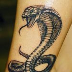 snake tattoo photo 28.01.2019 №178 - snake tattoo idea - tattoovalue.net