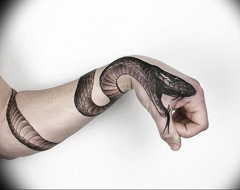 Forearm snake wrapped around arm tattoo - 🧡 Pin on TATTOO.