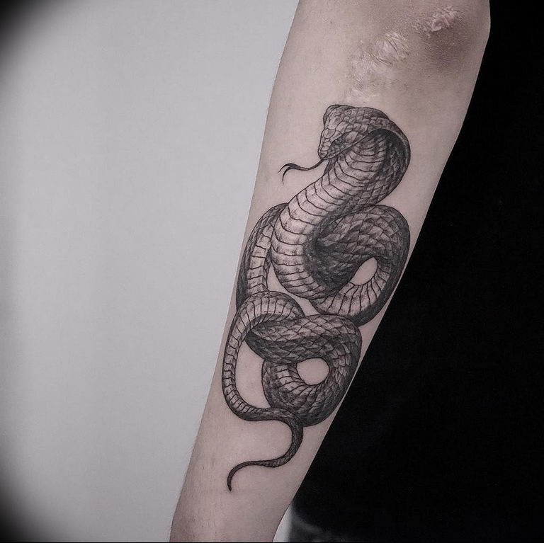 snake tattoo photo 28.01.2019 №004 - snake tattoo idea - tattoovalue.net