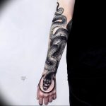 snake tattoo photo 28.01.2019 №005 - snake tattoo idea - tattoovalue.net