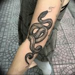 snake tattoo photo 28.01.2019 №006 - snake tattoo idea - tattoovalue.net