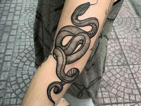 snake tattoo photo 28.01.2019 №006 - snake tattoo idea - tattoovalue.net
