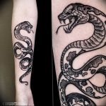 snake tattoo photo 28.01.2019 №010 - snake tattoo idea - tattoovalue.net