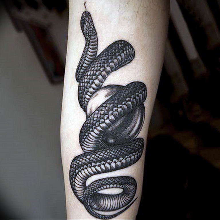 snake tattoo photo 28.01.2019 №011 - snake tattoo idea - tattoovalue.net