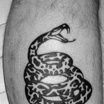 snake tattoo photo 28.01.2019 №021 - snake tattoo idea - tattoovalue.net