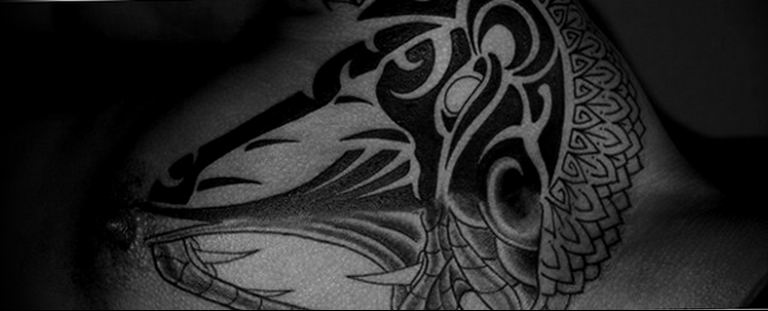 snake tattoo photo 28.01.2019 №022 - snake tattoo idea - tattoovalue.net