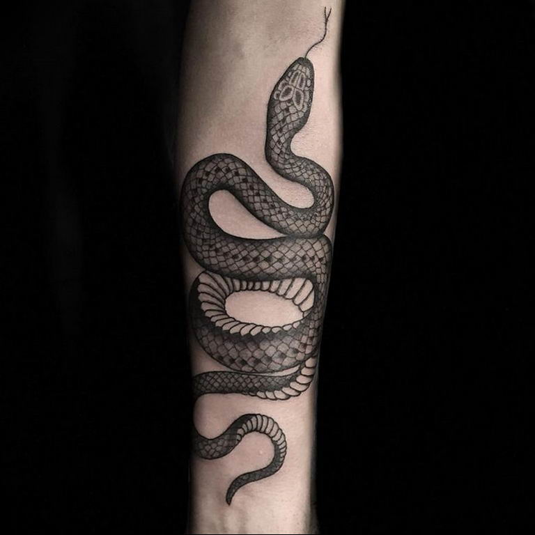snake tattoo photo 28.01.2019 №024 - snake tattoo idea - tattoovalue.net