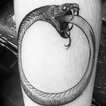 snake tattoo photo 28.01.2019 №026 - snake tattoo idea - tattoovalue.net