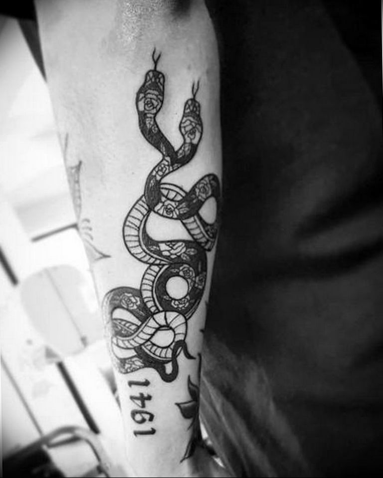 snake tattoo photo 28.01.2019 №030 - snake tattoo idea - tattoovalue.net