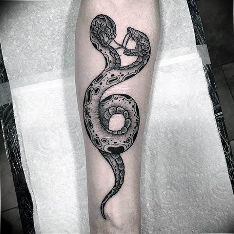 snake tattoo photo 28.01.2019 №031 - snake tattoo idea - tattoovalue.net