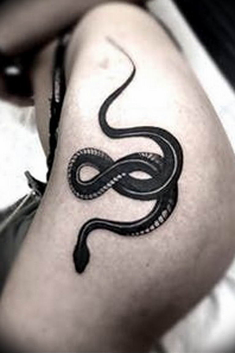 snake tattoo photo 28.01.2019 №036 - snake tattoo idea - tattoovalue.net