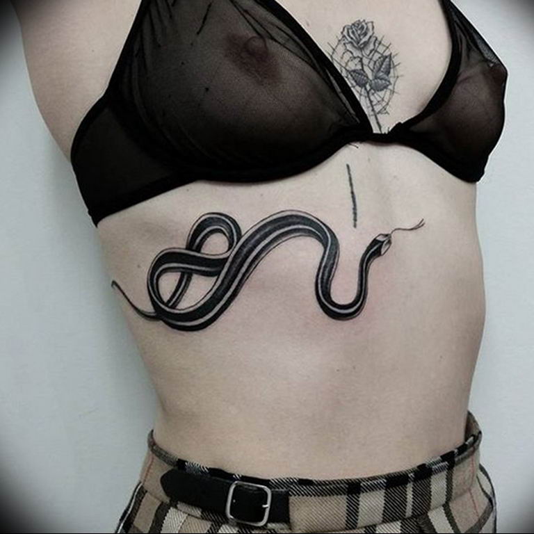 snake tattoo photo 28.01.2019 №037 - snake tattoo idea - tattoovalue.net