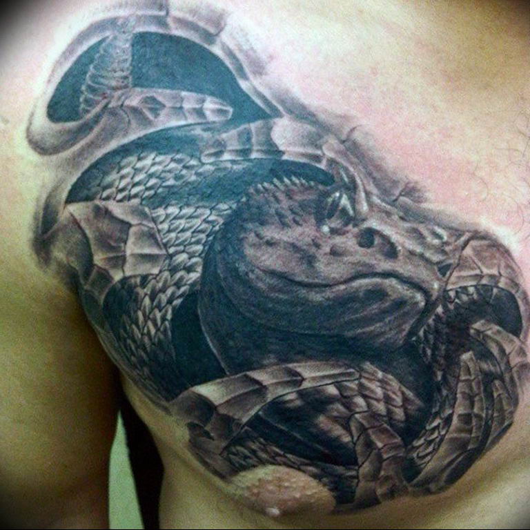 snake tattoo photo 28.01.2019 №040 - snake tattoo idea - tattoovalue.net